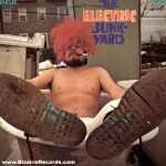 Electric Junkyard
